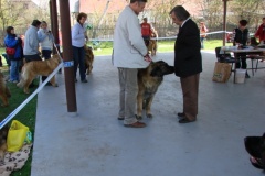 125_bard_gwen_flynn_kv_mlada_boleslav-29