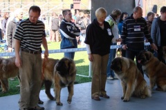 125_bard_gwen_flynn_kv_mlada_boleslav-33