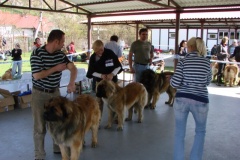 125_bard_gwen_flynn_kv_mlada_boleslav-34