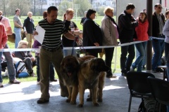 125_bard_gwen_flynn_kv_mlada_boleslav-36