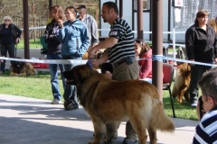 125_bard_gwen_flynn_kv_mlada_boleslav-4