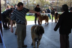 125_bard_gwen_flynn_kv_mlada_boleslav-40