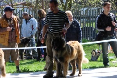 125_bard_gwen_flynn_kv_mlada_boleslav-43