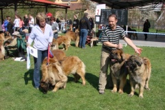 125_bard_gwen_flynn_kv_mlada_boleslav-45
