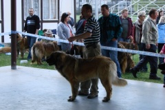 125_bard_gwen_flynn_kv_mlada_boleslav-46