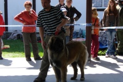 125_bard_gwen_flynn_kv_mlada_boleslav-51