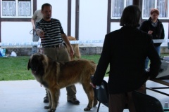 125_bard_gwen_flynn_kv_mlada_boleslav-52