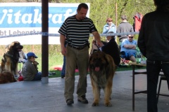 125_bard_gwen_flynn_kv_mlada_boleslav-53