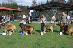 125_bard_gwen_flynn_kv_mlada_boleslav-54