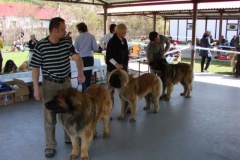 125_bard_gwen_flynn_kv_mlada_boleslav-56