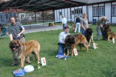 125_bard_gwen_flynn_kv_mlada_boleslav-57