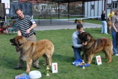 125_bard_gwen_flynn_kv_mlada_boleslav-58