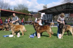 125_bard_gwen_flynn_kv_mlada_boleslav-59