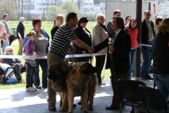125_bard_gwen_flynn_kv_mlada_boleslav-6