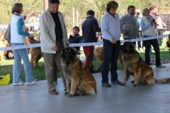 125_bard_gwen_flynn_kv_mlada_boleslav-63