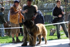 125_bard_gwen_flynn_kv_mlada_boleslav-9