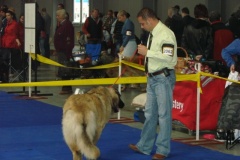 127_flynn_mezinarodni_vystava_praha_2011_5_15-6