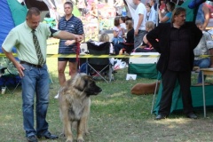 128_gwen_mezinarodni_vystava_bratislava_2011_08_21-3