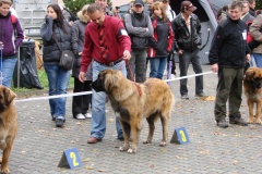 130_flynn_mezinarodni_vystava_ceske_budejovice_2011_10_9-1