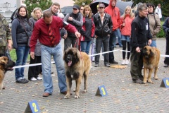 130_flynn_mezinarodni_vystava_ceske_budejovice_2011_10_9-10