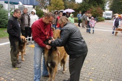 130_flynn_mezinarodni_vystava_ceske_budejovice_2011_10_9-11