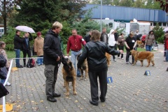 130_flynn_mezinarodni_vystava_ceske_budejovice_2011_10_9-12
