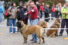 130_flynn_mezinarodni_vystava_ceske_budejovice_2011_10_9-2
