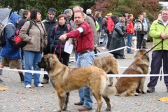 130_flynn_mezinarodni_vystava_ceske_budejovice_2011_10_9-3