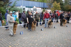 130_flynn_mezinarodni_vystava_ceske_budejovice_2011_10_9-6