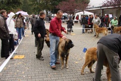 130_flynn_mezinarodni_vystava_ceske_budejovice_2011_10_9-7
