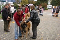 130_flynn_mezinarodni_vystava_ceske_budejovice_2011_10_9-8