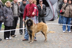 130_flynn_mezinarodni_vystava_ceske_budejovice_2011_10_9-9