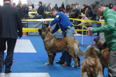 131_flynn_gwen_mezinarodni_vystava_praha_2011_11_6-13
