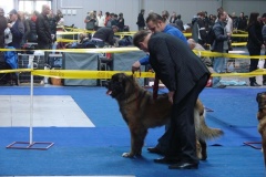 131_flynn_gwen_mezinarodni_vystava_praha_2011_11_6-4
