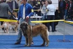 131_flynn_gwen_mezinarodni_vystava_praha_2011_11_6-9