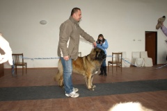 132_bonitace_bb_my_flynn-8