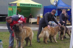 133_bb_my_flynn_narodni_vystava_ostrava_2012_04_15-1