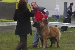 133_bb_my_flynn_narodni_vystava_ostrava_2012_04_15-10