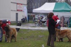 133_bb_my_flynn_narodni_vystava_ostrava_2012_04_15-11