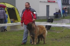 133_bb_my_flynn_narodni_vystava_ostrava_2012_04_15-12