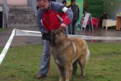 133_bb_my_flynn_narodni_vystava_ostrava_2012_04_15-2
