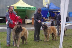 133_bb_my_flynn_narodni_vystava_ostrava_2012_04_15-3