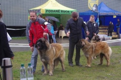 133_bb_my_flynn_narodni_vystava_ostrava_2012_04_15-5
