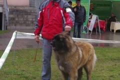 133_bb_my_flynn_narodni_vystava_ostrava_2012_04_15-7