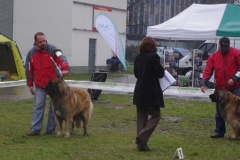 133_bb_my_flynn_narodni_vystava_ostrava_2012_04_15-8