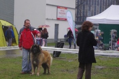 133_bb_my_flynn_narodni_vystava_ostrava_2012_04_15-9