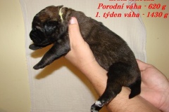 136_stenatka_1_tyden-1