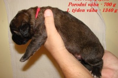 136_stenatka_1_tyden-2