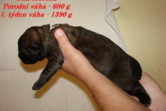 136_stenatka_1_tyden-4