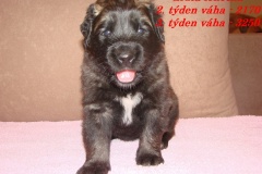 139_stenatka_3_tyden-3